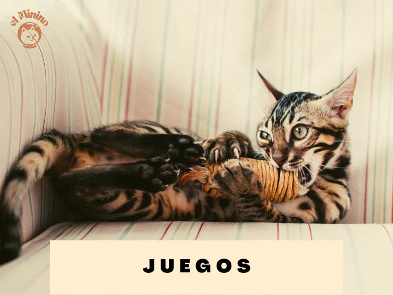 El Juego para los Gatos