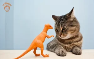 Cuál es el juguete favorito de los gatos