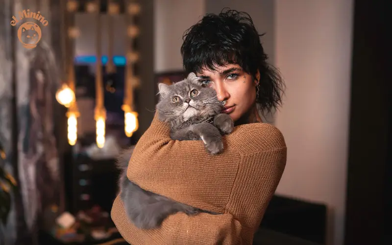 Quien puede cuidar a nuestros gatos cuando no estamos